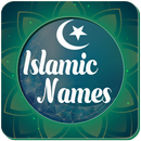 Islamic Names APK