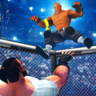 World Tag Wrestling Revolution icon