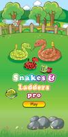 Snakes and Ladders Pro+ poster