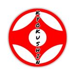 Kyokushin Karate Kata