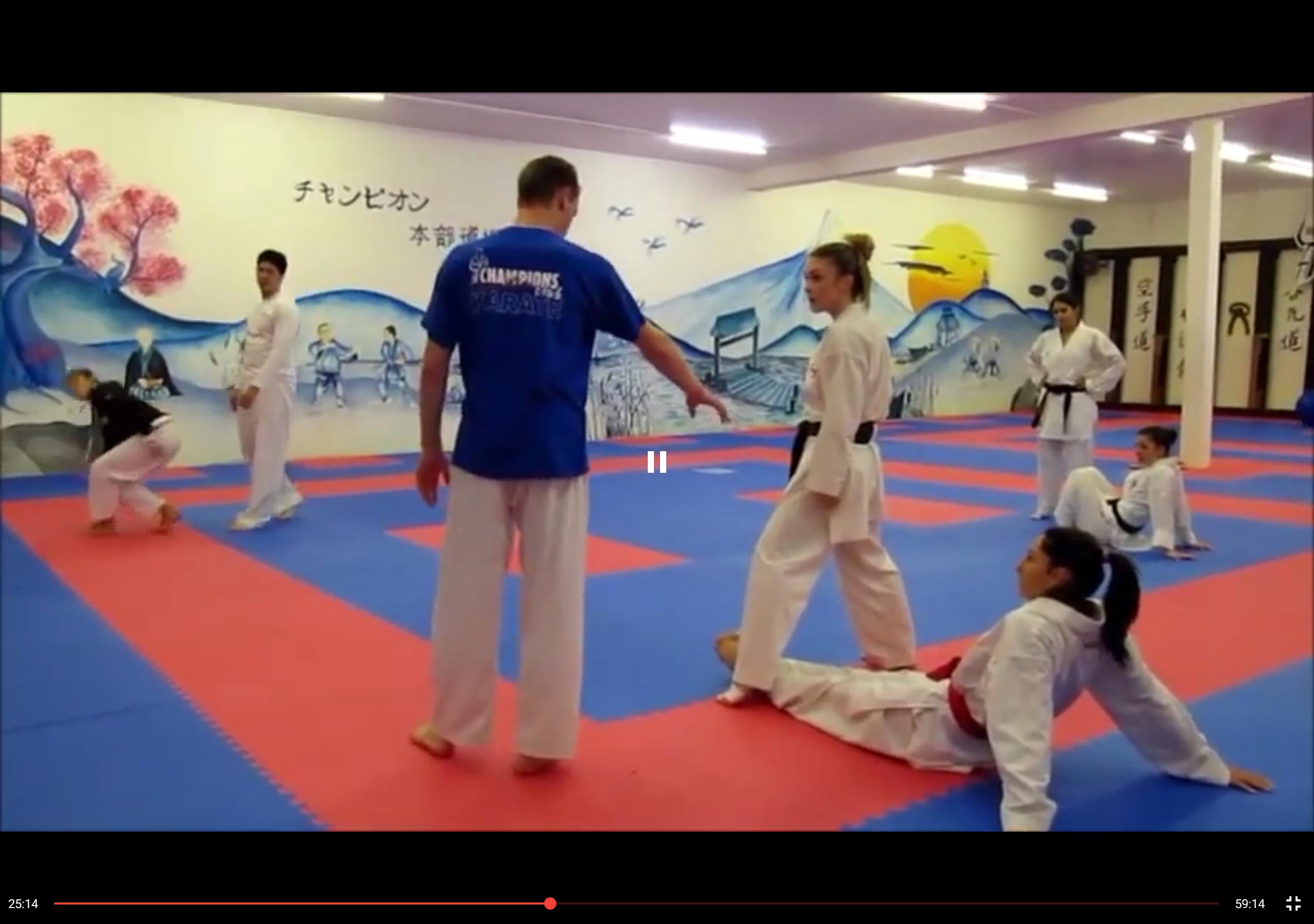 Shito Ryu Karate