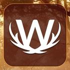 Word Wild ikona