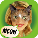 Look Like Cat APK