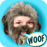Look Like Puppy icono
