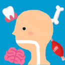 からだのクイズ APK