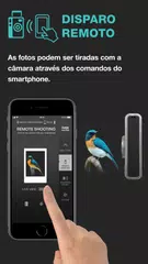 Baixar instax mini Evo XAPK