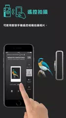 instax mini Evo XAPK 下載