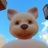 Zampe verso il cielo