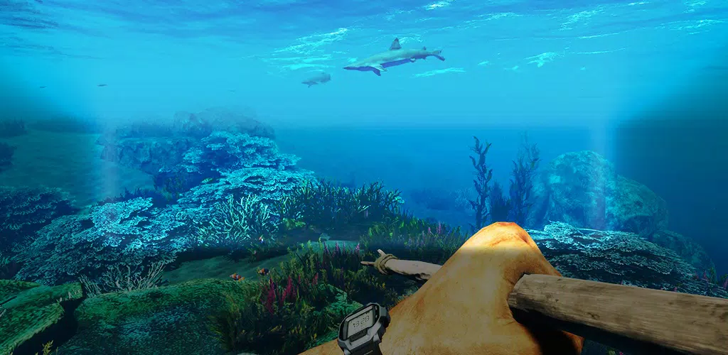 Comunidad Steam :: Guía :: Mavrah's Everything Guide to Stranded Deep