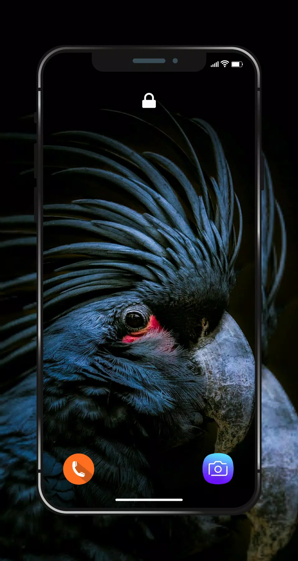 🔴 Amoled Wallpapers 4K | Best HD Super Amoled Pic APK for Android Download 🔴 Amoled Wallpapers 4K | Best HD Super Amoled Pic APK for Android Download