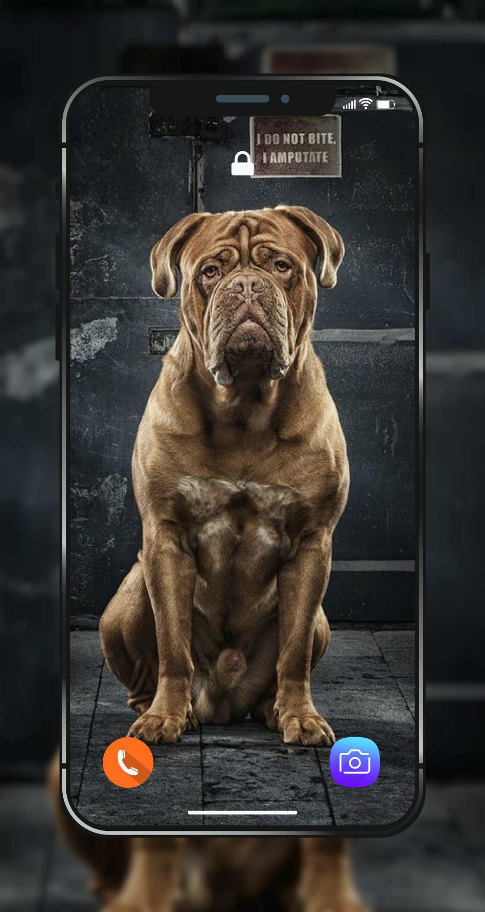 🐾 Pitbull Wallpapers HD | 4K Pitbull Dog Photos ❤ APK for Android Download