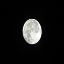 Full moon ritual APK