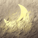 Moon wallpaper HD APK