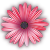 OPI Móvil APK