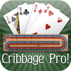 Cribbage Pro Online! 아이콘