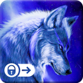 Wolf Animal Wild Wallpaper Dop