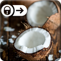 Coconut Wallpaper TeenWave Swe