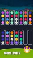 Sort Ball Master-Color Puz Plakat