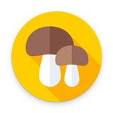 AI Mushroom Identifier simgesi