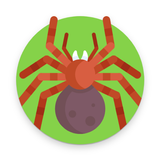 AI Spider Identifier simgesi