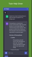 AI Tutor Screenshot 2