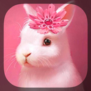 Милые Животные Живые Обои APK