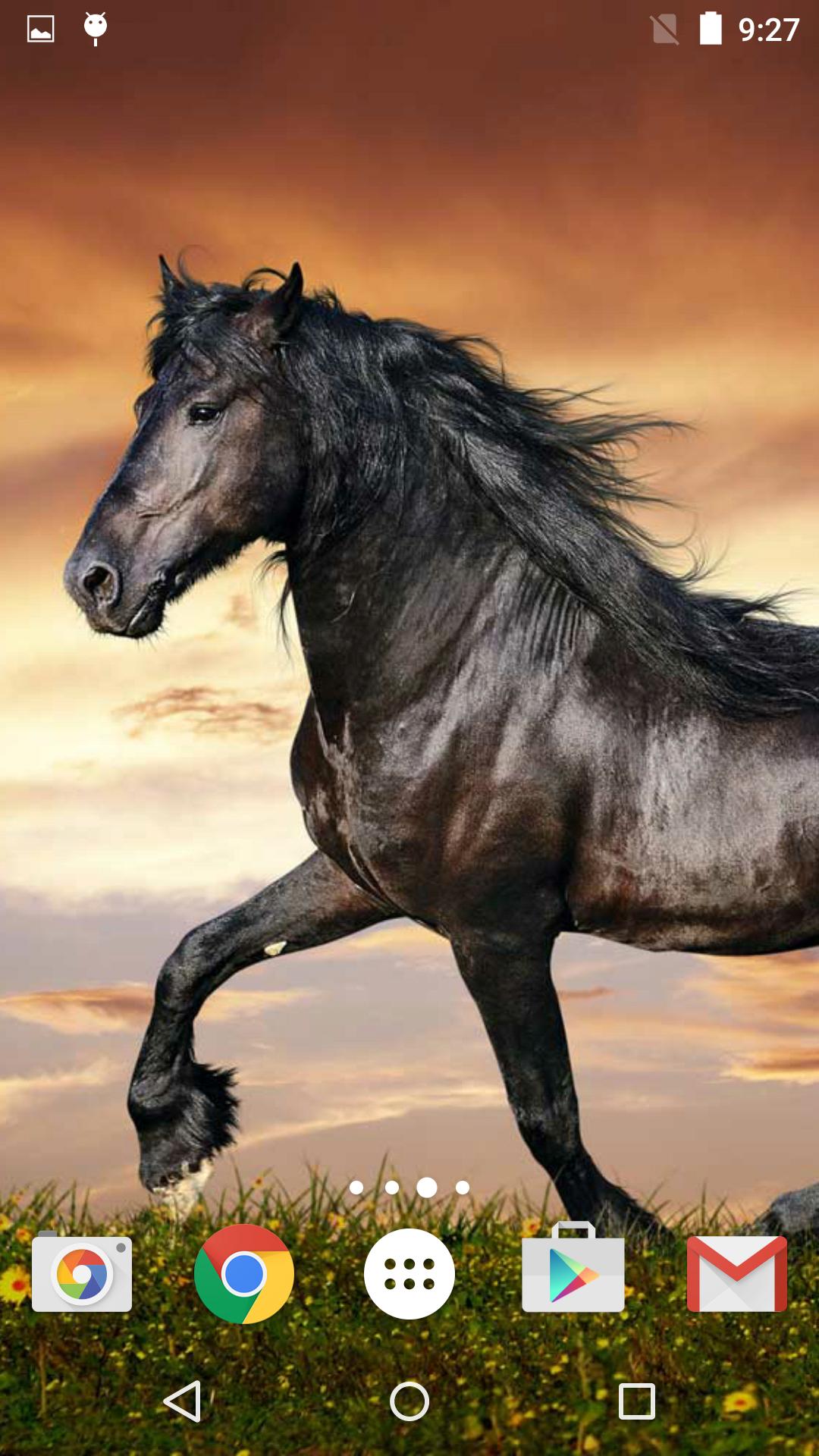 Descarga de APK de Caballos Fondo Animado para Android Descarga de APK de Caballos Fondo Animado para Android