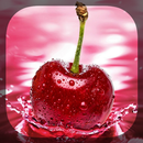 Macro Photos Live Wallpaper APK