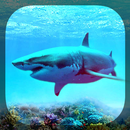 Requins Fond d'écran APK