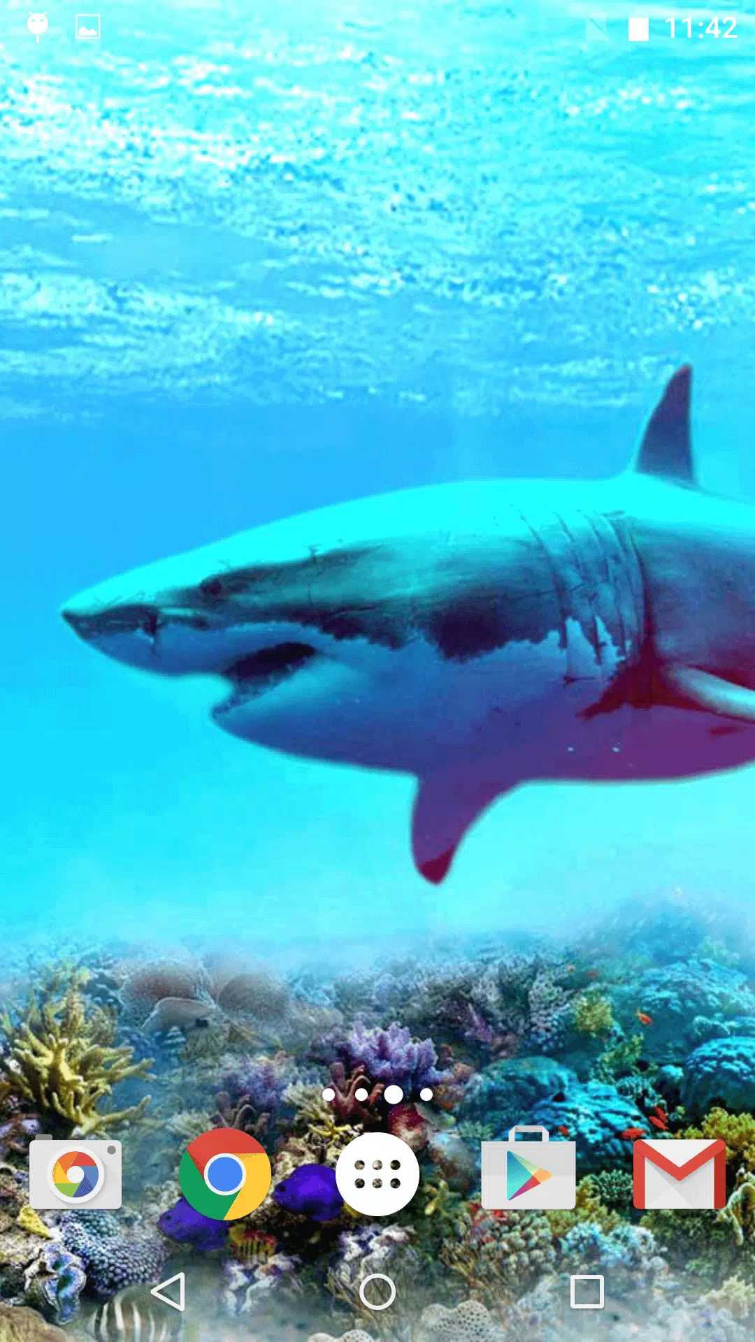 Android向けのサメ ライブ壁紙 Apkをダウンロードしましょう