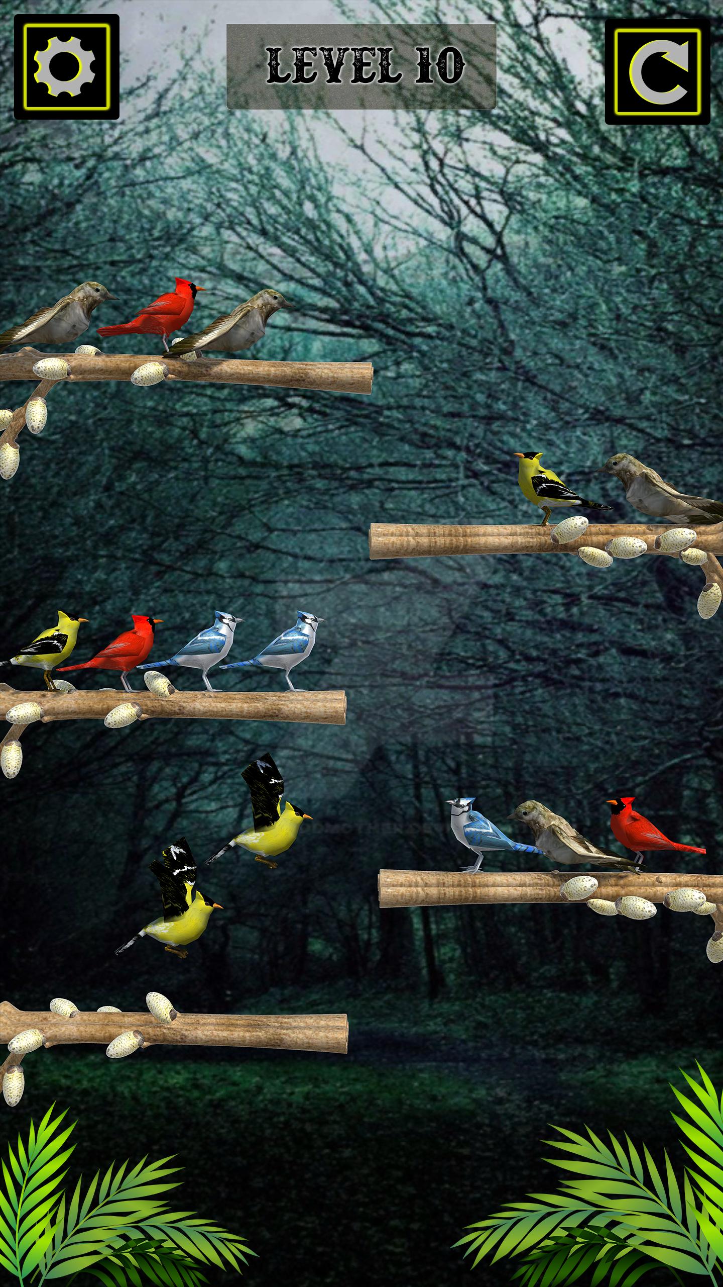 Bird sort. Игра Бирд сорт. Bird sort Puzzle Bird games.