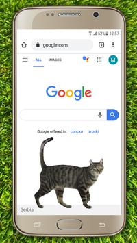 кошка на экране приложение. screen 13.jpg?h=355&fakeurl=1&type=. кошка на экране приложение фото. кошка на экране приложение-screen 13.jpg?h=355&fakeurl=1&type=. картинка кошка на экране приложение. картинка screen 13.jpg?h=355&fakeurl=1&type=.
