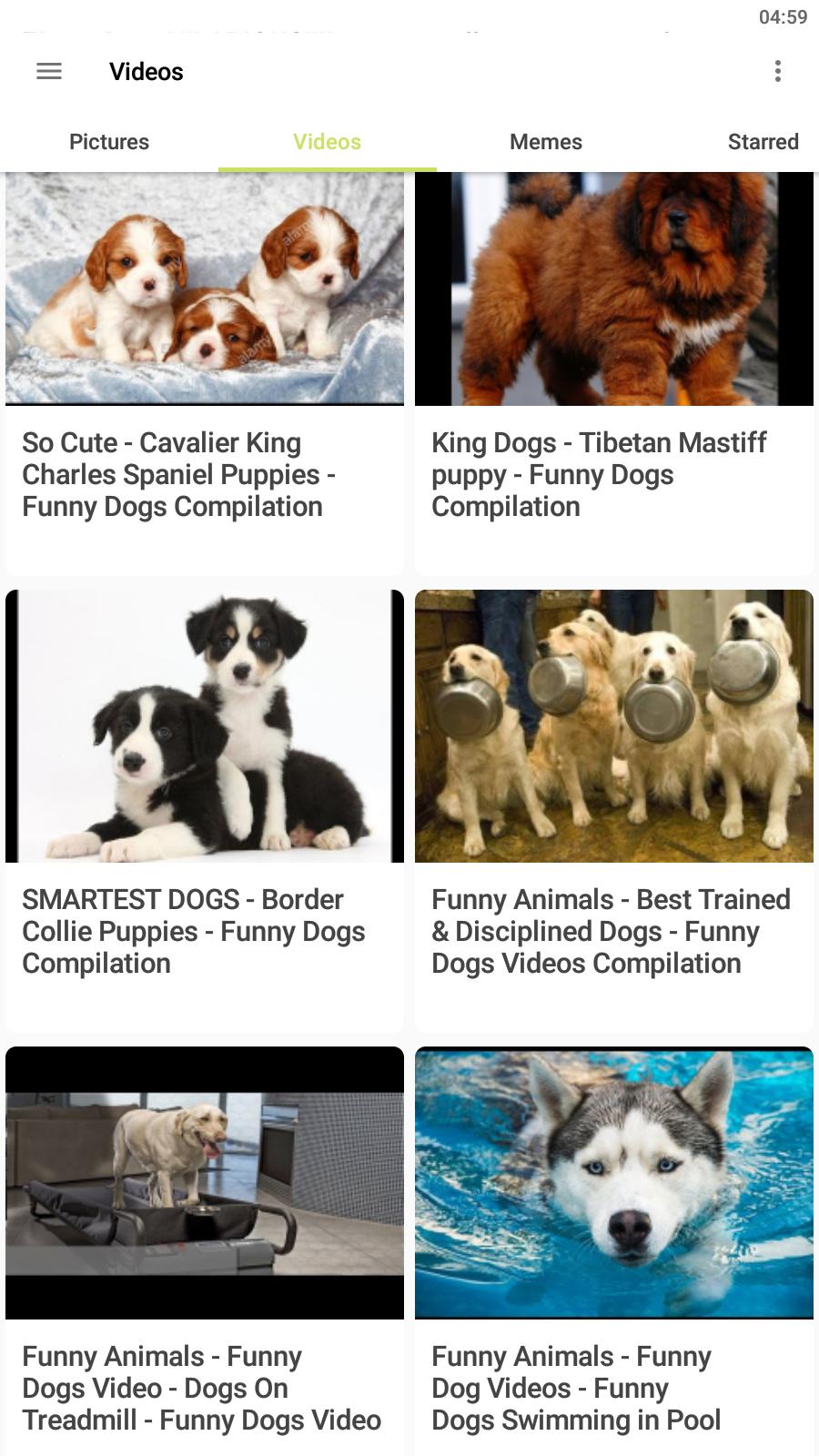 Funny Dogs APK for Android Download Funny Dogs APK for Android Download