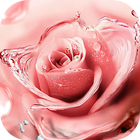 Pink Flower Nice Love Roses Theme icône
