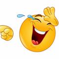 funny videos