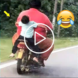 Funny Videos