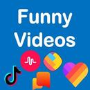 Funny Videos: Musically, TikTokly, Like & Share APK