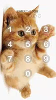 Cat and Kitten Pattern Lock Screen screenshot 3