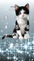 Cat and Kitten Pattern Lock Screen screenshot 1