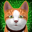 Homeless Cat Simulator APK