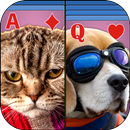 Solitaire Animaux : Klondike APK