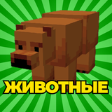 Животные мод, Питомци, Собаки icono