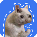 Funny Cat Memes Stickers for Signal Messenger