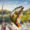 My Fishing Tour: Hook and Jerk APK