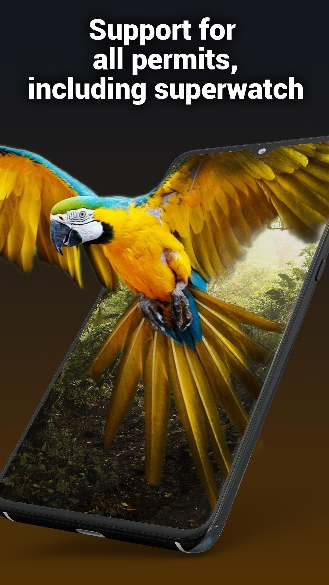 Lustige Wallpaper fĂĽr Android - APK herunterladen
