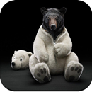 Funny Wallpaper 4K APK