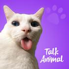 Talking Animals - Funny Voices icône