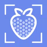 Calory - AI Calorie Counter APK