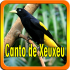 Canto de Xeuxeu иконка