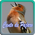 Canto de Pajaro Offline
